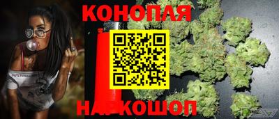 прущие грибы Партизанск