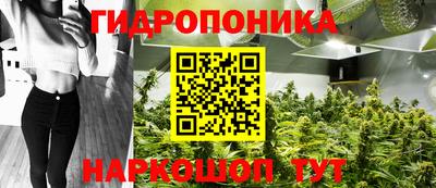 синтетический гашиш Пенза
