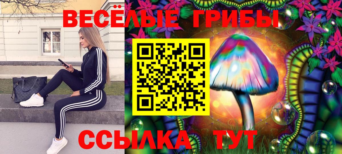 Псилоцибиновые грибы GOLDEN TEACHER Новокубанск