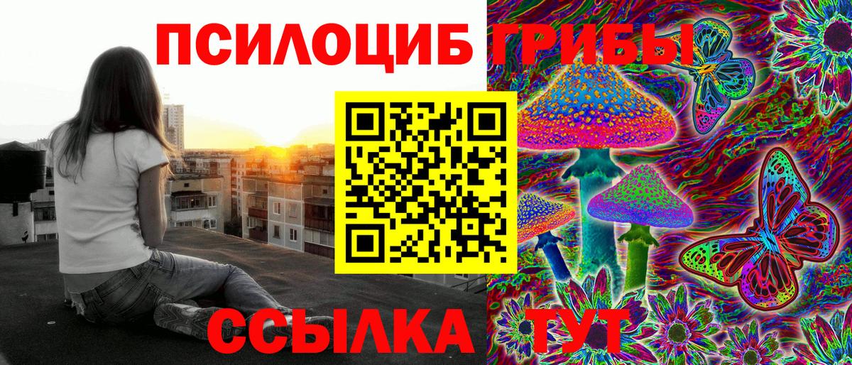 Новокубанск  Псилоцибиновые грибы Cubensis  Вход с VPN  Псилоцибиновые грибы прущие грибы 