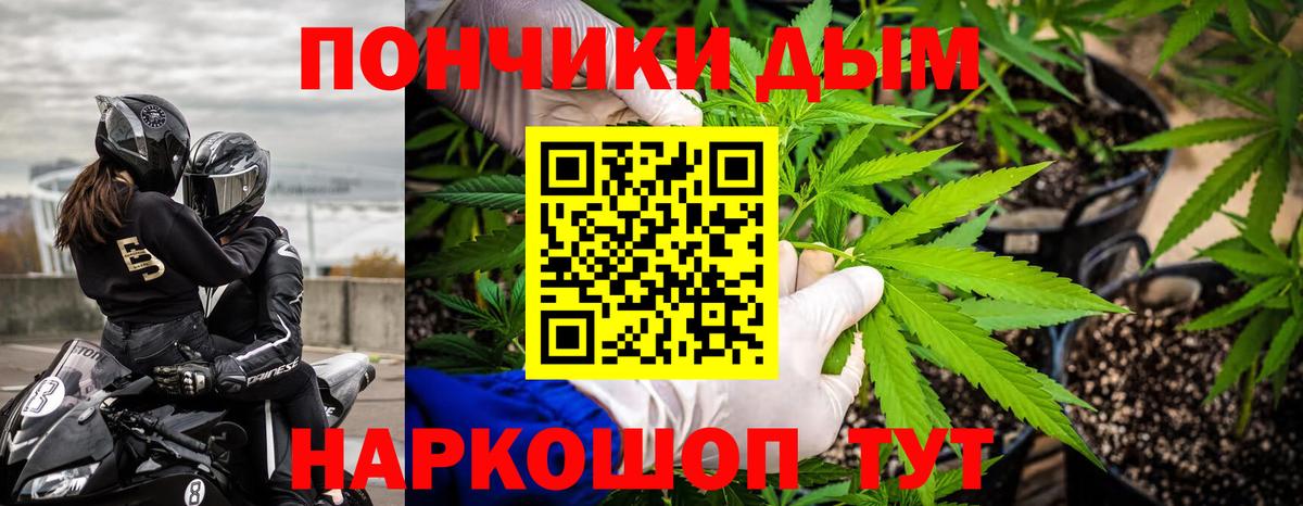 Бошки Шишки SATIVA & INDICA Новокубанск